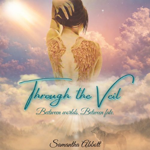 Cover art for Through the Veil